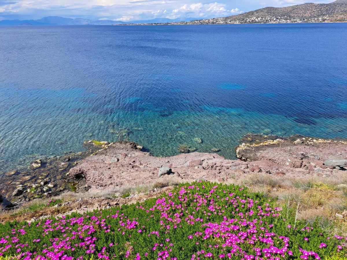 Вилла Almyra Seaside Пердика Экстерьер фото